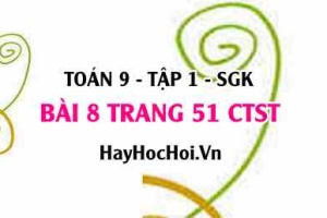 Bài 8 trang 51Toán 9 tập 1 Chân trời sáng tạo